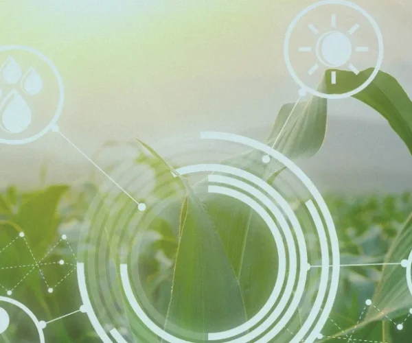 WhatsApp-Image-2025-06-03-at-4.44.48-PM